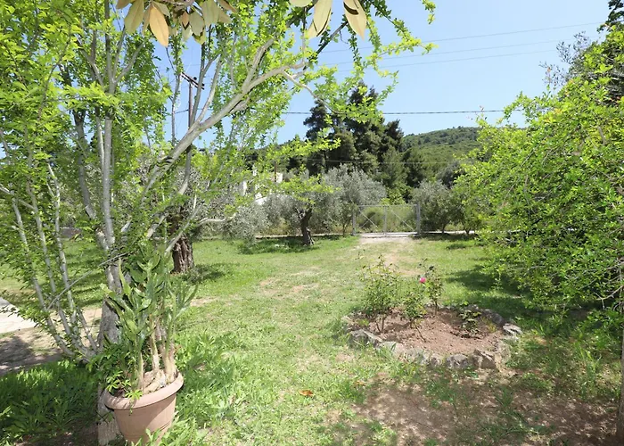 Magnolia House Apartment *